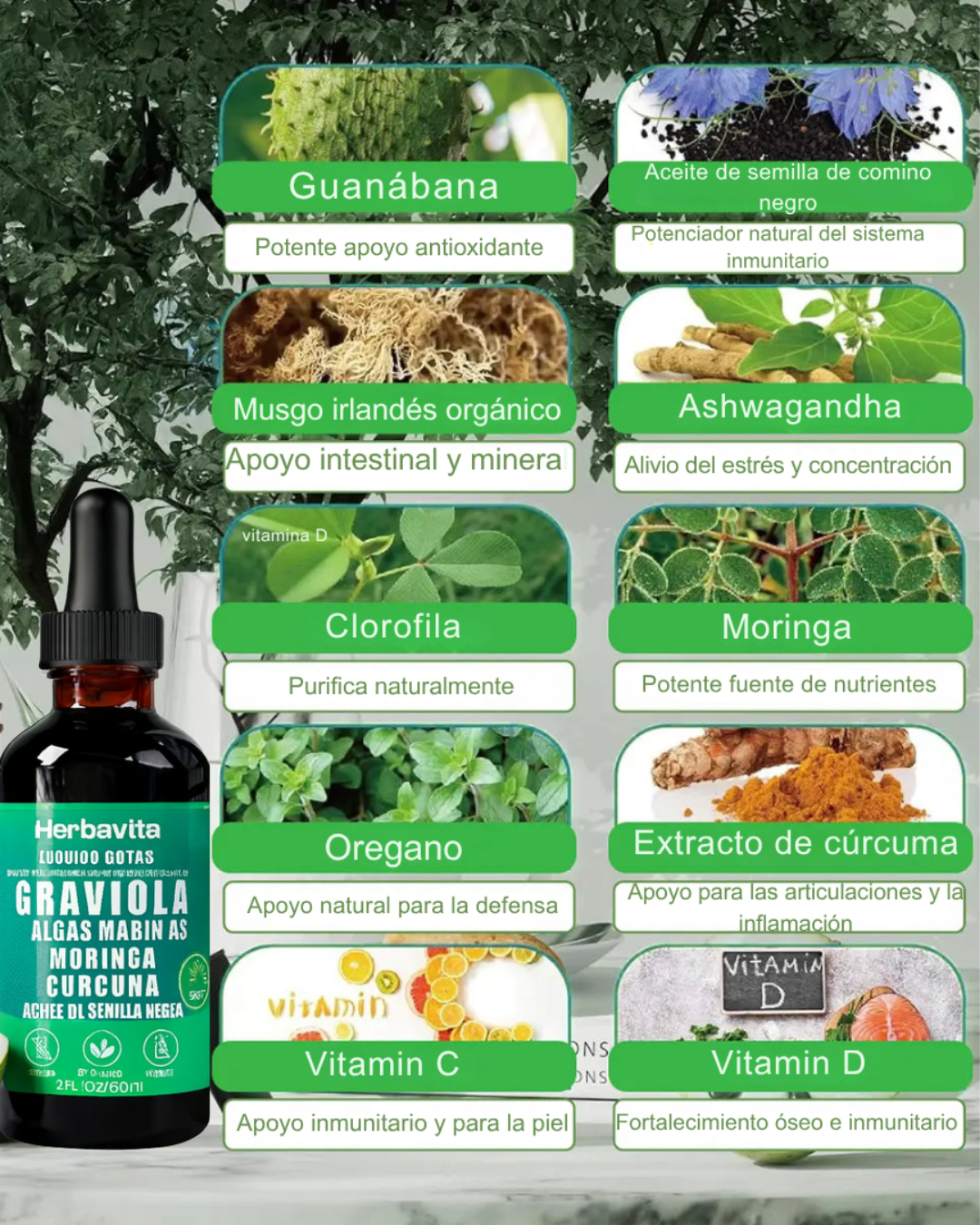 Herbavita | Energía limpia y mente clara con una dosis diaria.